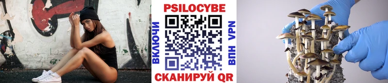 Купить где  Губкин  Псилоцибиновые грибы ЛСД 